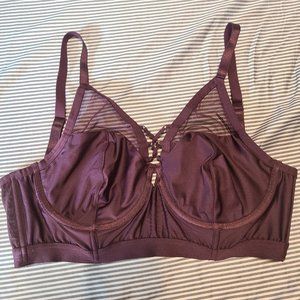 Torrid bra size 0